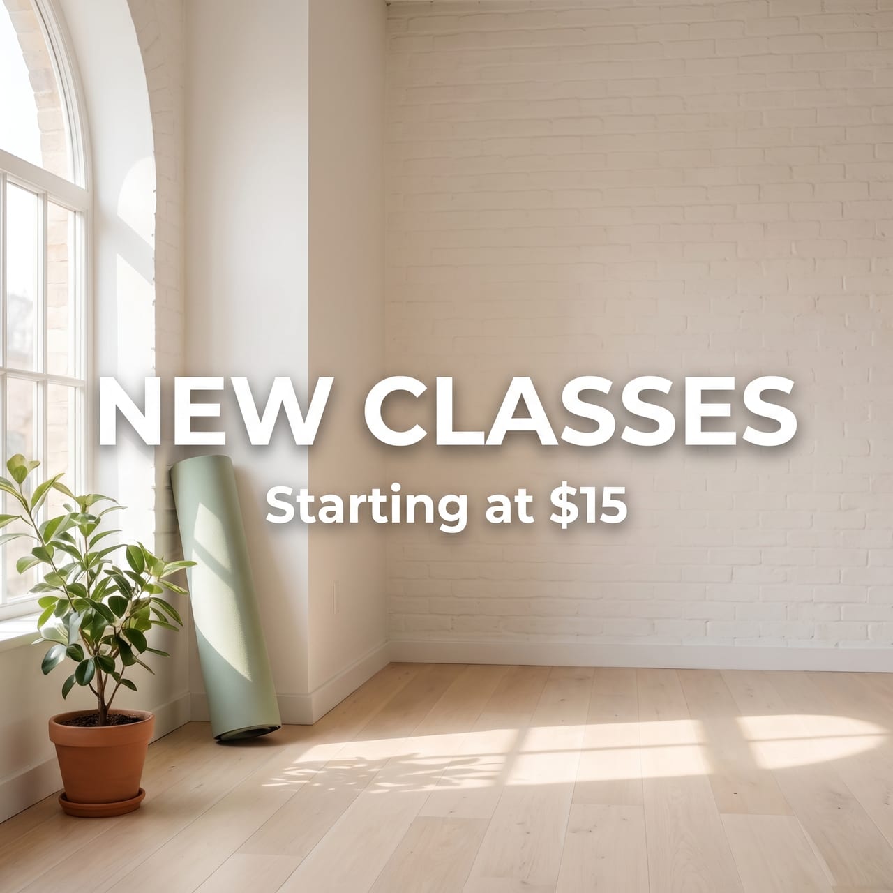 A fitness-studio promo with on-image text generated by Moose